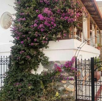 Gerakini Villa | Beautiful beach house