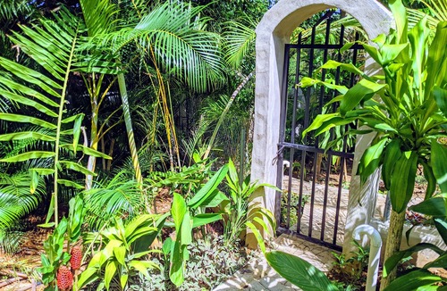La Iglesia House | Bed And Breakfast Cabin In Cool Junglee Retreat