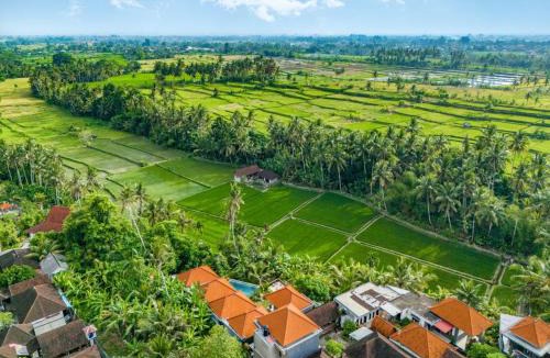 Kemenuh House | Bhargava Prana House
