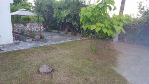 Nea Iraklitsa Apartment | Blue Appartment