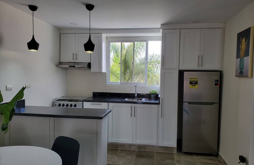 Santiago de los Caballeros Apartment | Blue Mountain View