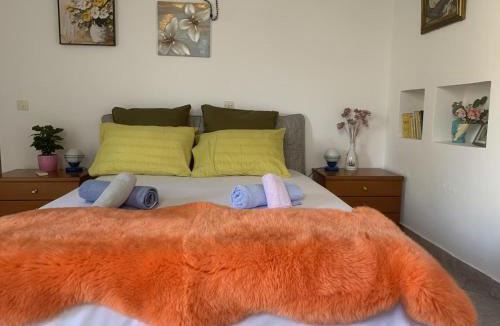 Saronida House | Blue Echoes