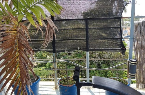 Cabarete Apartment | Blue Flamingo Kite Beach