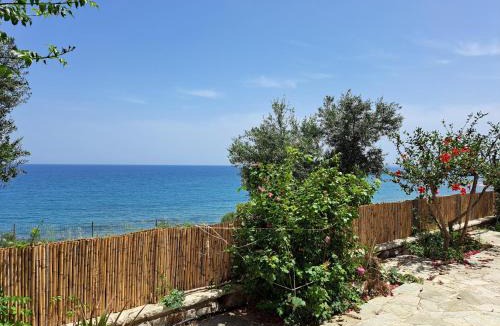 Aipeia House | Blue Fox 1