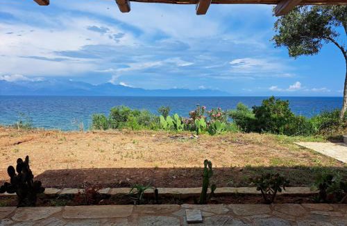 Aipeia Apartment | Blue Fox 2