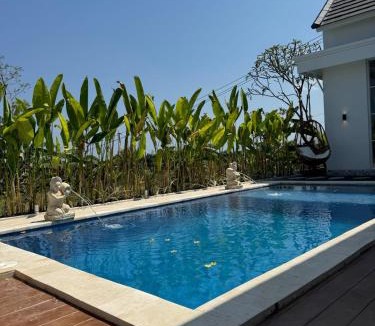 Tukad Mungga Villa | Brand New ! Villa Bella Lovina - Private Pool - Rice Field View