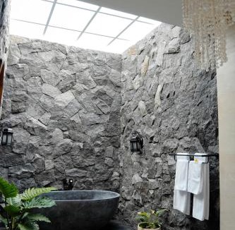 Tukad Mungga Villa | Brand New ! Villa Bella Lovina - Private Pool - Rice Field View