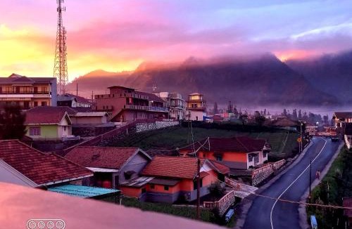 Ngadisari House | Bromo Deddy Homestay