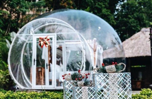 Tampaksiring Hotel | Bubble 8 - Private Pool Jungle Escape Ubud