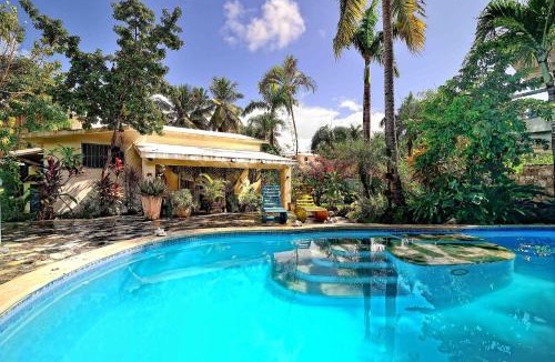 ProCab Apartment | Cabarete Boutique Kite Hotel King Loft