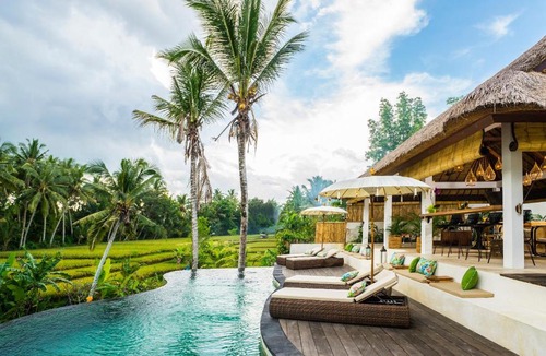 Petulu Hotel | Calma Ubud Suite & Villas - Rice Fields View, Infinity Pool !