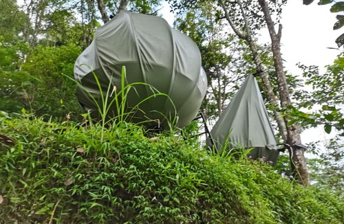 Hargomulyo Other | Campground Sepapring Mikjager