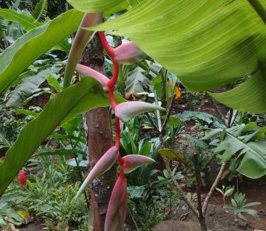 Nunue Other | Camping Nature Bora