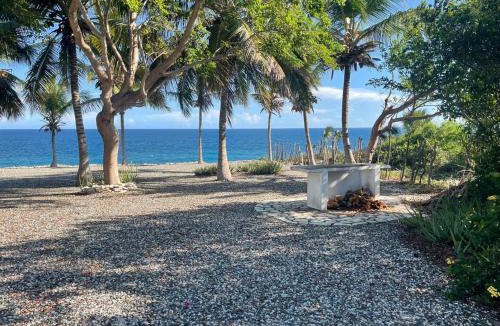 Sabana Palenque Bed & Breakfast | Captain All's BED AND BREAKFAST