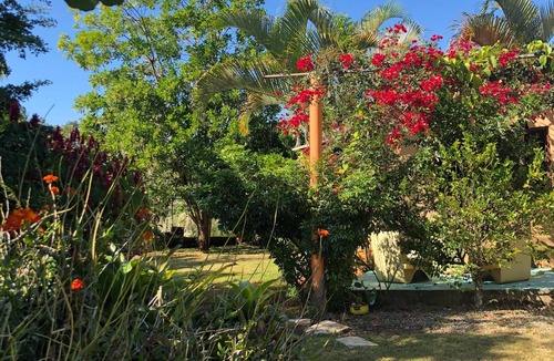 La Joya House | CASA VILLA ANACAHUITA ideal to be in contact with nature.