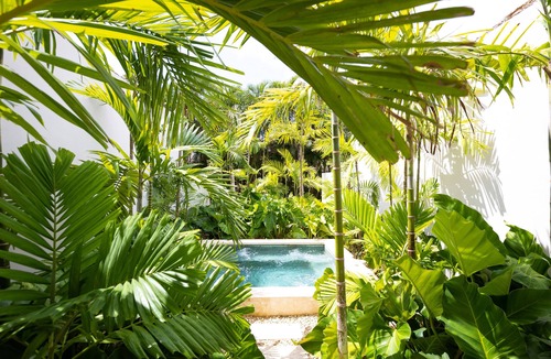 Los Naranjos Villa | Casa Eden - Near the Beach-W/Chef Butler&Maid-Jacuzzi & Pool