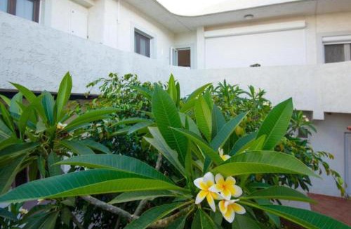 Karteros Apartment | Casa Nefeli