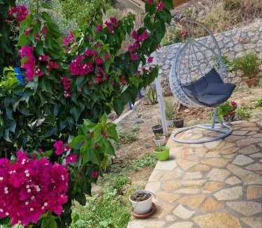 Agios Petros Apartment | Casa Sonia