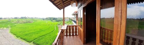 Babakan House | Casa Veranda