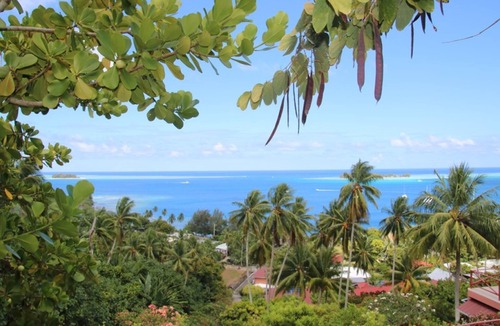 Bora Bora Hotel | Chambre triple supérieure et salle de bain privée