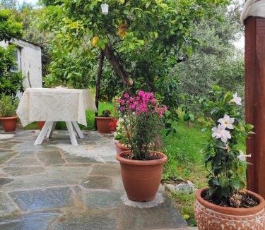 Zagora-Mouresi Apartment | Citrus Home