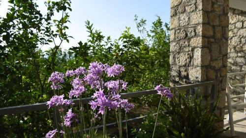 West Mani House | Coastal Stone Hideaway with Stunning Scenery