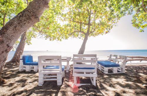 Sabana Palenque Apartment | Coconut Paradise Beach Hotel
