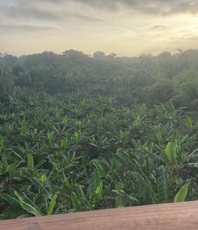 Licey al Medio House | Complejo Ecoturistico Rancho Cielo