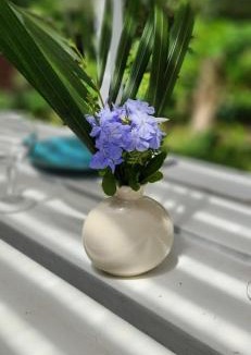 Temae House | Cottage Manua