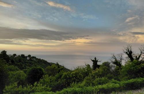 Zagora-Mouresi Villa | Cozy Blue Stone House with a Great Sea View.