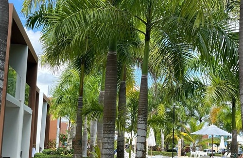 Boca Chica Villa | Cozy vacation home away from home. Enjoy the pool from your door step. n