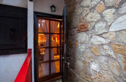 Eptalofos Ski Chalet | Dandy Villas Agoriani-Chalet Orelia-Fireplace