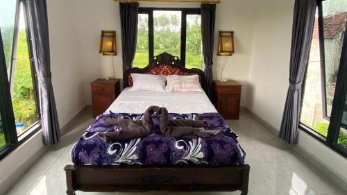 Lovina Hostel | Darren Hostel