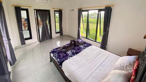 Lovina Hostel | Darren Hostel