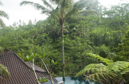 Tegallalang Hotel | DD Ubud Villa
