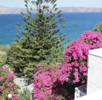 Trachilos Hotel | Delfini Apartments