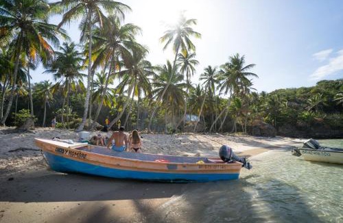 Samana Resort | Dominican Tree House Village