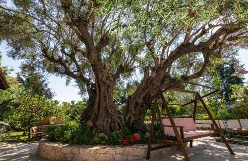 Vasilikos Apartment | Dopia's Garden Studios