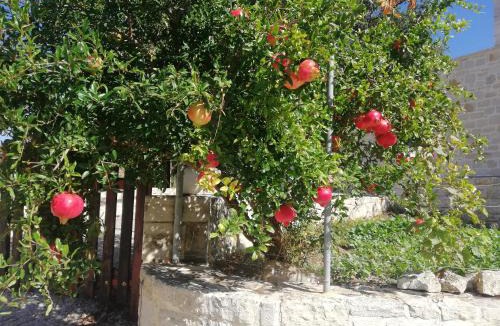 Filaki Villa | Drys Stone House