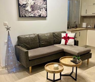Ioannina Town Centre Apartment | Echo 51