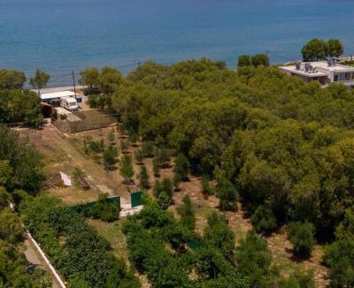 Nopigia Other | Edem private camping