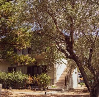 Aipeia Apartment | Eirini Kasimiotou Apartments