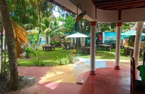Las Galeras Hotel | El jardín del coco