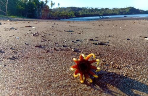 Taveuni Island East House | Emma's Homestay Explorer