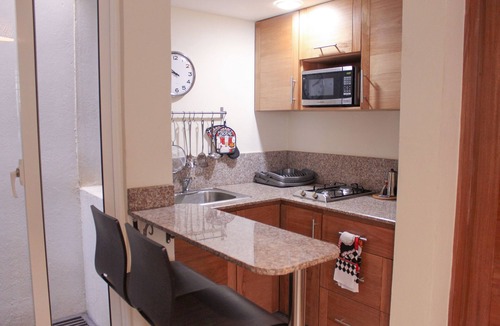 Ciudad Nueva Apartment | ENCHANTING 1BR APT NEAR COLONIAL ZONE