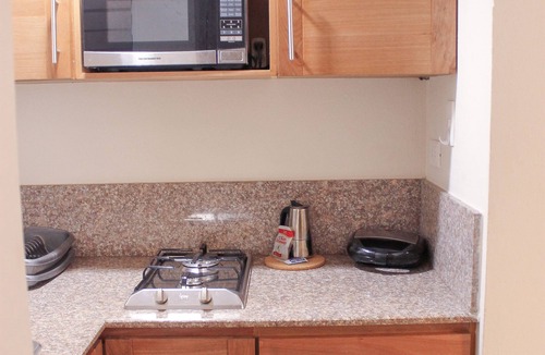 Ciudad Nueva Apartment | ENCHANTING 1BR APT NEAR COLONIAL ZONE