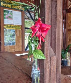 Bukit Lawang House | Enter Point