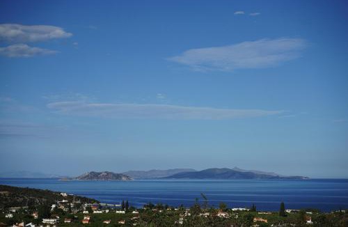 Melissopetra House | Epidaurus Olive Villa