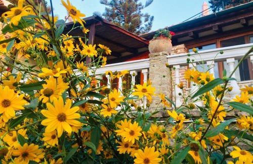Parelia House | Ermones Emerald Villa