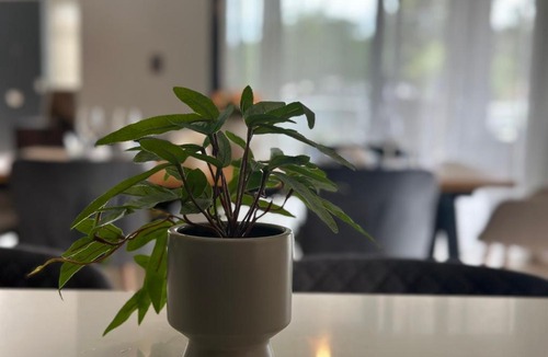 San Ignacio de Sabaneta Apartment | Ester house Sabaneta